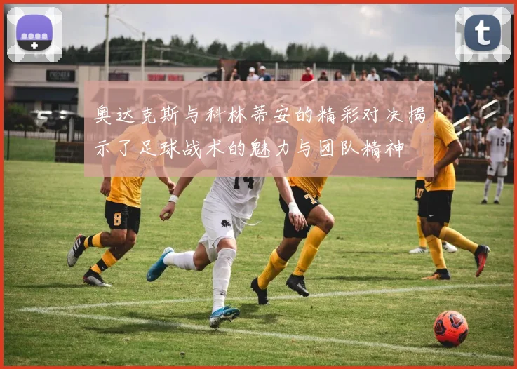 奥达克斯与科林蒂安的精彩对决揭示了足球战术的魅力与团队精神